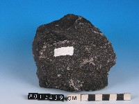 鹼性玄武岩藏品圖，第2張