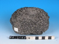 鹼性玄武岩藏品圖，第2張