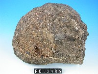 火山碎屑岩藏品圖，第2張