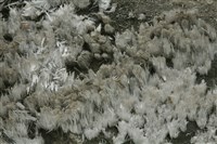 石膏藏品圖，第2張