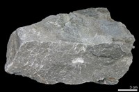 變質砂岩藏品圖，第1張