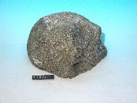 斑狀安山岩藏品圖，第2張