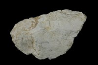 白雲石藏品圖，第1張