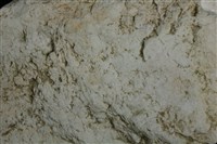 白雲石藏品圖，第3張