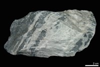 大理岩藏品圖，第2張