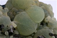  藏品圖，第2張