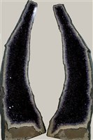 紫水晶 藏品圖，第1張