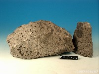 Hornblende andesite Collection Image, Figure 2, Total 2 Figures