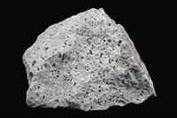 Hornblende andesite Collection Image, Figure 1, Total 2 Figures