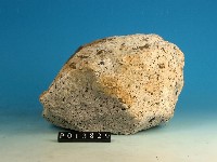 角閃石安山岩藏品圖，第2張