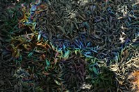 明礬石藏品圖，第2張