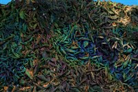 明礬石藏品圖，第2張