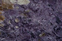 紫矽鹼鈣石 藏品圖，第2張