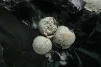 方矽石 藏品圖，第2張