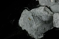 方矽石 藏品圖，第2張