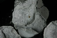 方矽石 藏品圖，第3張
