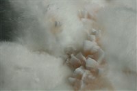 絲光沸石 藏品圖，第2張