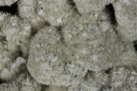 毛礬石藏品圖，第2張
