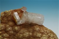 雌黃藏品圖，第2張