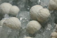 纖維鈣矽酸石 藏品圖，第3張
