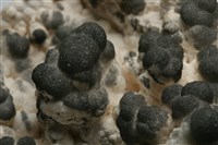 塊黑鉛礦 藏品圖，第2張