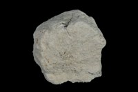 伊來石 藏品圖，第1張