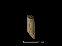 錛鑿形器藏品圖，第3張