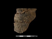 陶片藏品圖，第1張