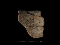 陶片藏品圖，第2張