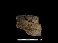 陶片藏品圖，第3張