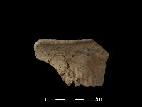 陶片藏品圖，第2張