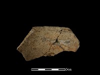 陶片藏品圖，第1張