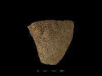 陶片藏品圖，第2張