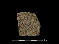 陶片藏品圖，第1張