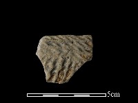 陶片藏品圖，第2張