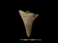 鬲足藏品圖，第2張