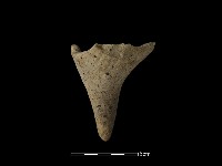 鬲足藏品圖，第3張