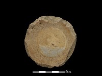 瓷片藏品圖，第2張