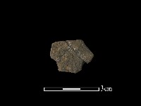 陶片藏品圖，第2張