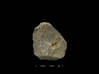 斧鋤形器藏品圖，第1張