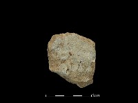 斧鋤形器藏品圖，第2張