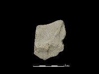 石片藏品圖，第1張