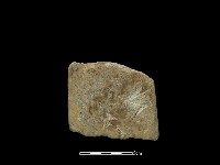 磨製斧鋤形器藏品圖，第2張