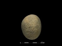 石鎚藏品圖，第3張