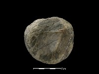 石球藏品圖，第2張