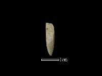 鑽頭藏品圖，第1張