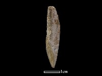 鑽頭藏品圖，第3張