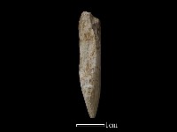 鑽頭藏品圖，第1張