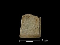 錛鑿形器藏品圖，第2張