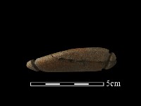 網墜藏品圖，第1張